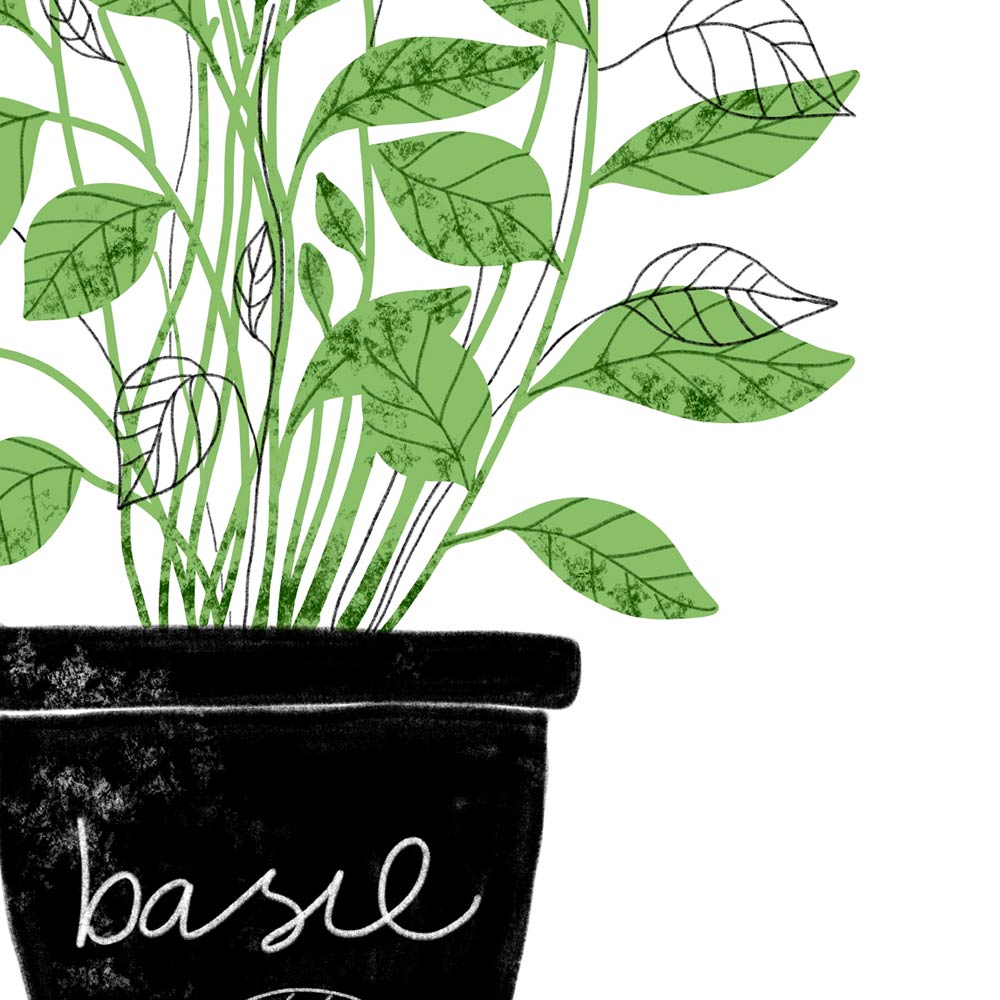 Basil kitchen wall art detail