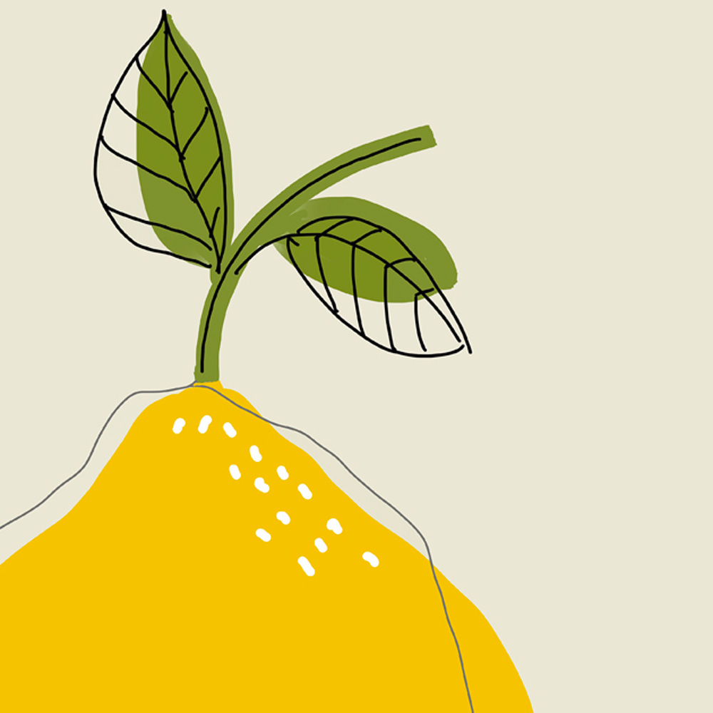 Lemon illustration detail