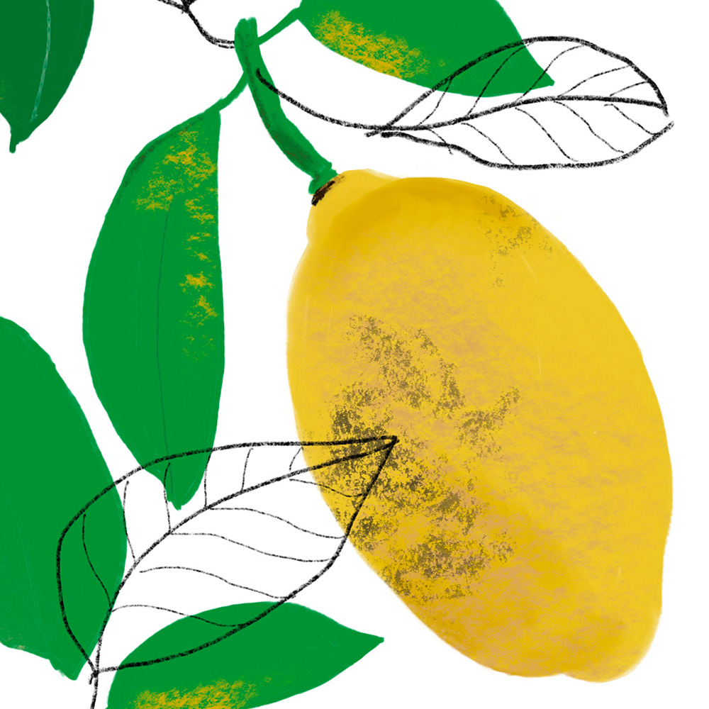 Lemons kitchen wall art detail