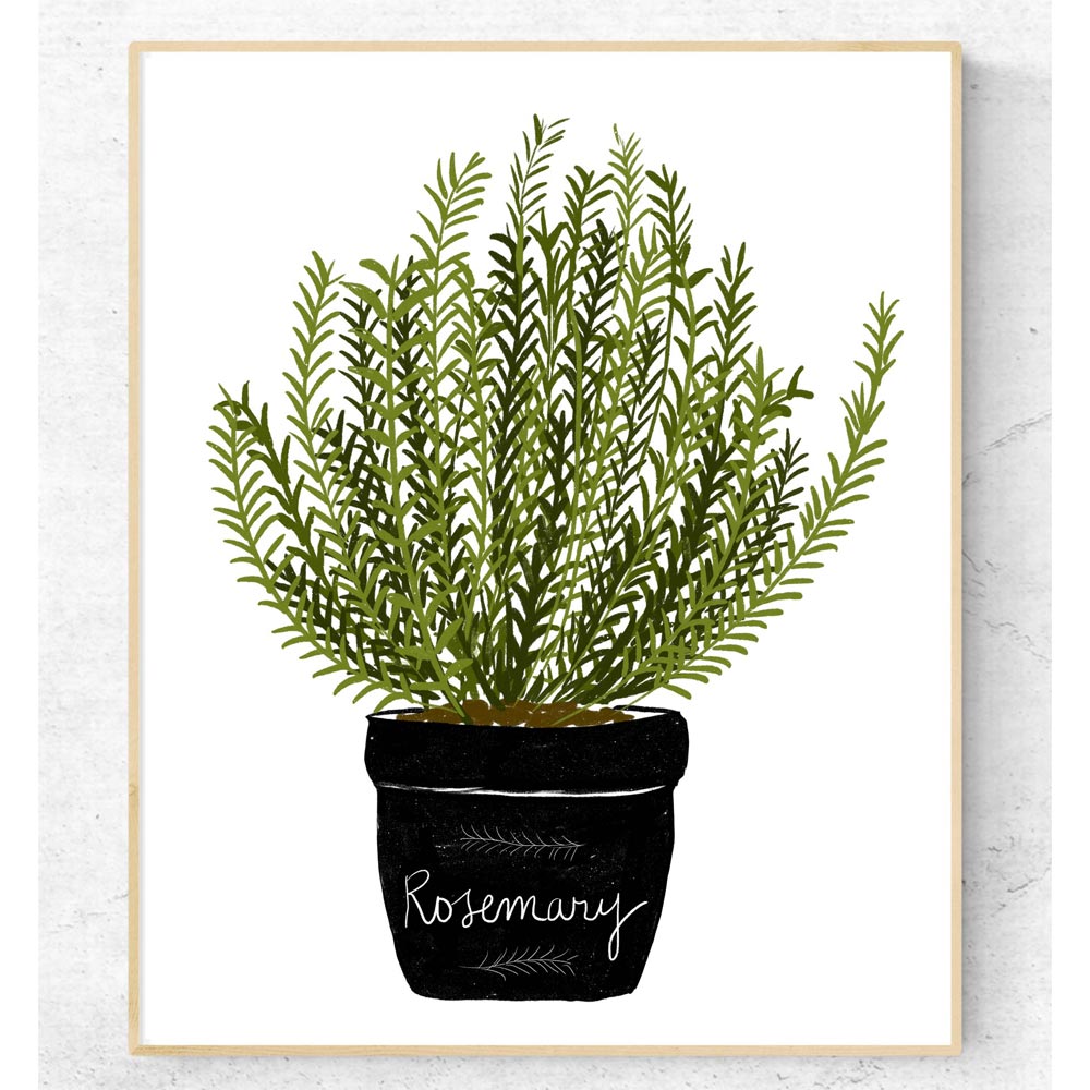 Aromatic herb kitchen art wall