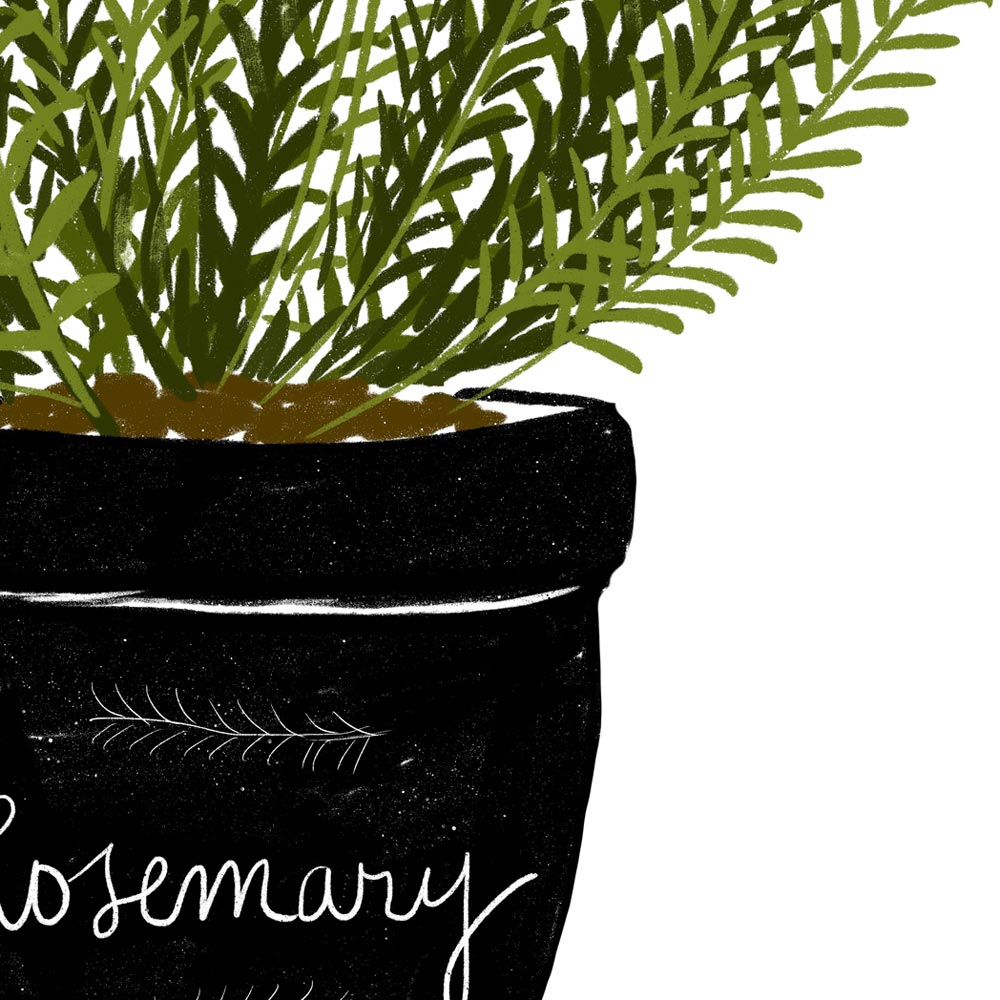 Aromatic herb kitchen art detail