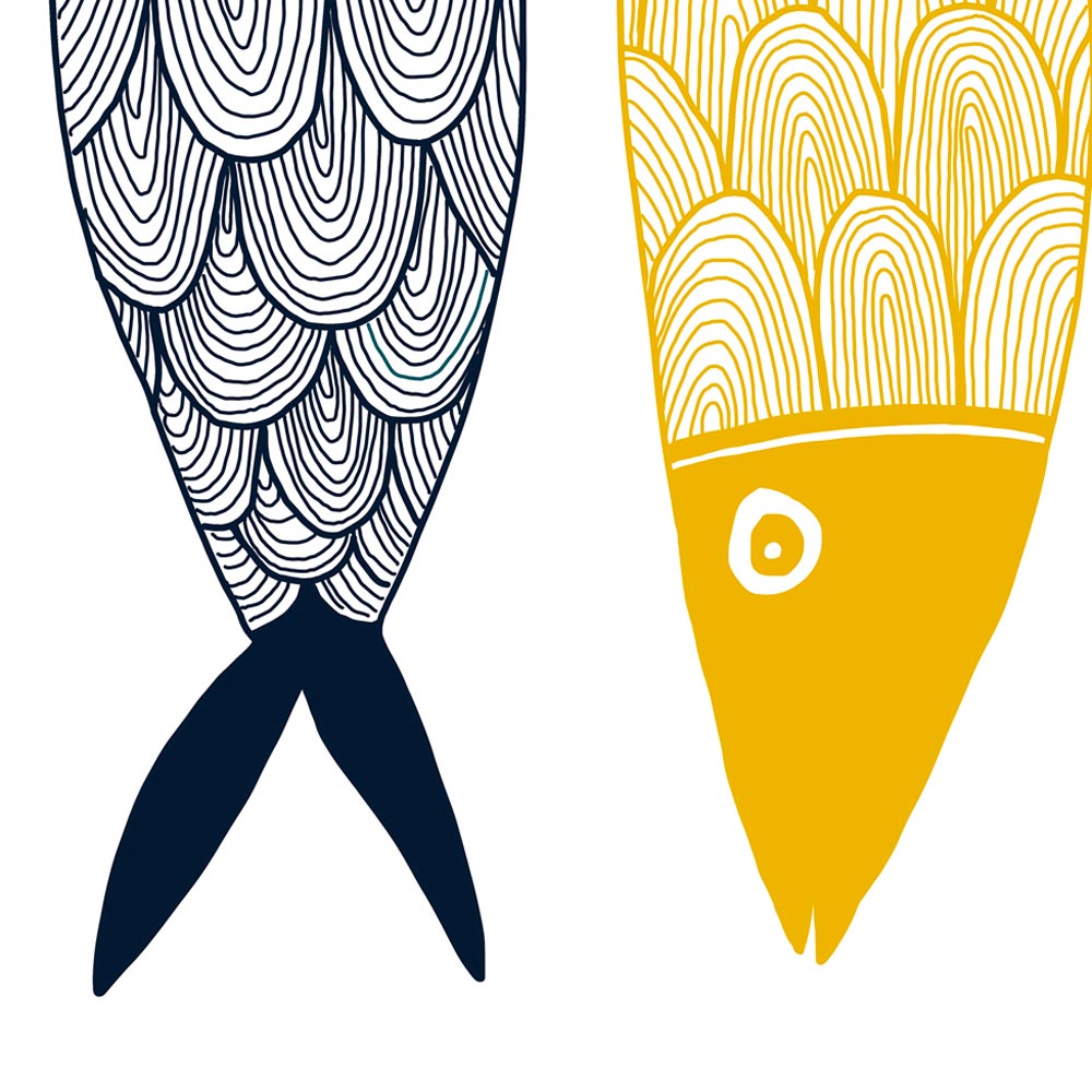 Three color fish detail